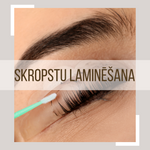 Vienas dienas intensīvais bāzes kurss “SKROPSTU LAMI”