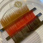 BL Color Lashes natural tones mix, 3 lines