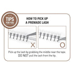 BL Lashes premade 3D Volume fans, C-0.10-8mm