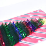 BL Lashes for eyelash extension in a Gift package