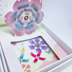 BL Lashes for eyelash extension in a Gift package
