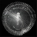 Nail Art Display stand with 120pcs nail tip sticks, CLEAR