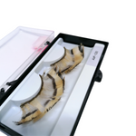 Strip flare lashes in line for make-up, AWF-030