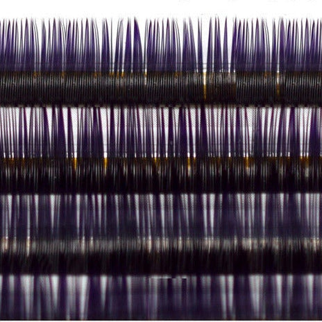 Xclusive Lashes Ombre black+purple eyelash extensions ONE SIZE, C shape
